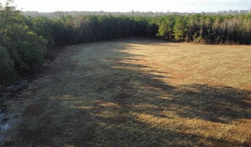 Photo #14 of Off Spencer Court, Marion, SC 71.9 acres