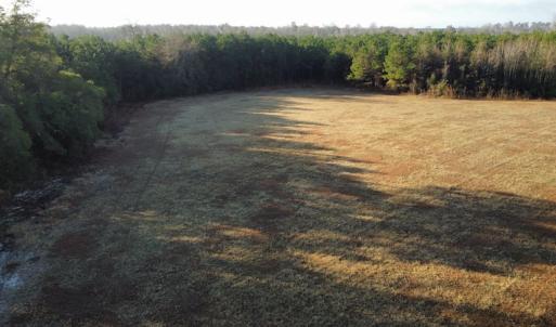 Photo #14 of SOLD property in Off Spencer Court, Marion, SC 71.9 acres