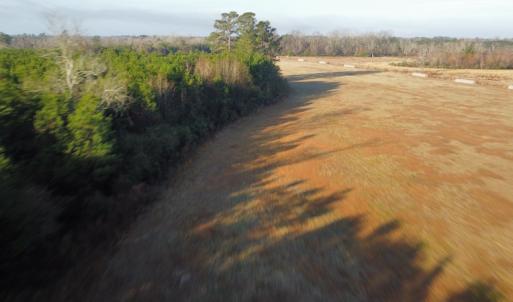 Photo #15 of Off Spencer Court, Marion, SC 71.9 acres