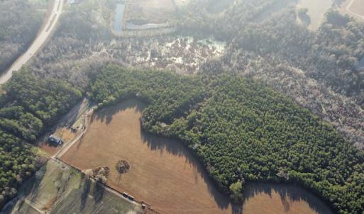 Photo #16 of SOLD property in Off Spencer Court, Marion, SC 71.9 acres