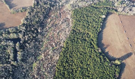 Photo #17 of SOLD property in Off Spencer Court, Marion, SC 71.9 acres