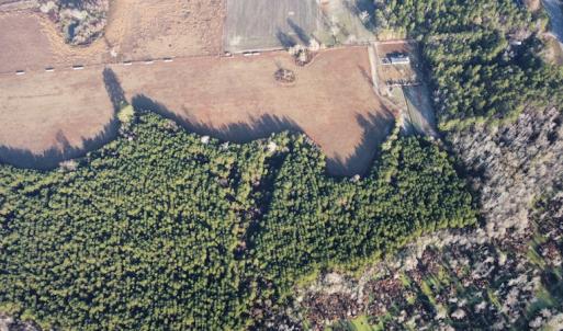 Photo #18 of SOLD property in Off Spencer Court, Marion, SC 71.9 acres
