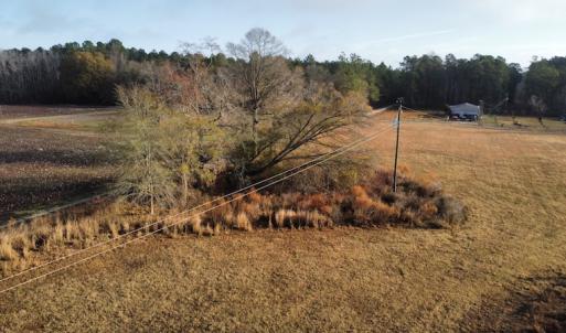 Photo #20 of SOLD property in Off Spencer Court, Marion, SC 71.9 acres