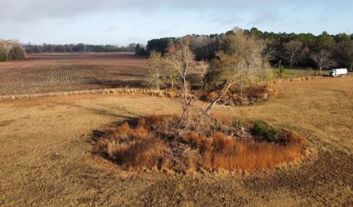 Photo #21 of SOLD property in Off Spencer Court, Marion, SC 71.9 acres