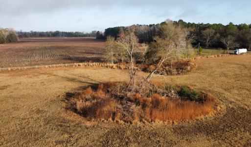 Photo #21 of Off Spencer Court, Marion, SC 71.9 acres
