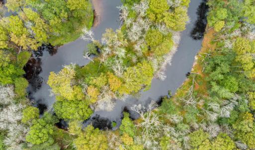Photo #14 of SOLD property in Off Chattanooga Drive, Pembroke, NC 9.5 acres