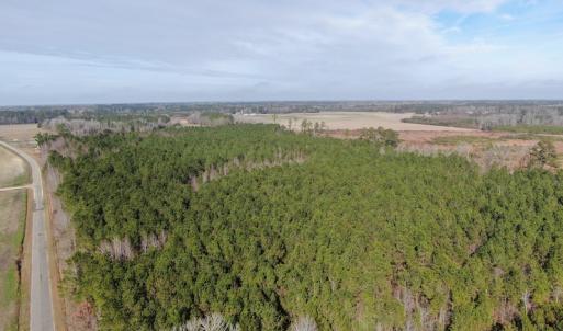 Photo #6 of SOLD property in Off Oliver Road, Dillon, SC 46.0 acres