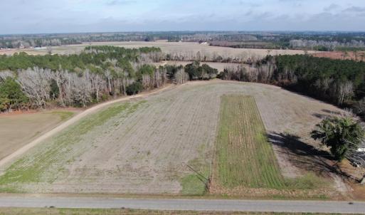Photo #7 of SOLD property in Off Oliver Road, Dillon, SC 46.0 acres