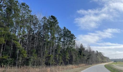 Photo #8 of SOLD property in Off Oliver Road, Dillon, SC 46.0 acres