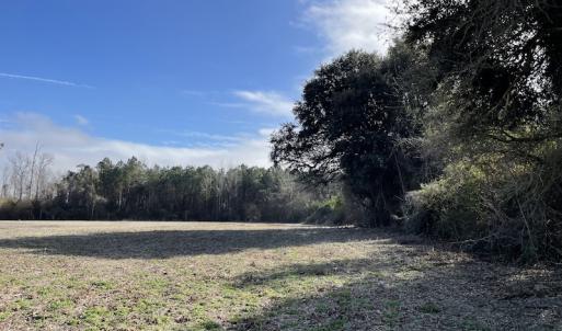 Photo #11 of SOLD property in Off Oliver Road, Dillon, SC 46.0 acres