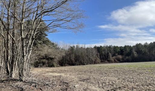 Photo #14 of SOLD property in Off Oliver Road, Dillon, SC 46.0 acres