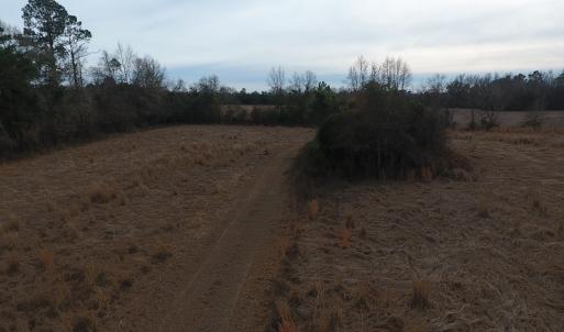 Photo #10 of SOLD property in Off Kemper Church Road, Lake View, SC 10.0 acres