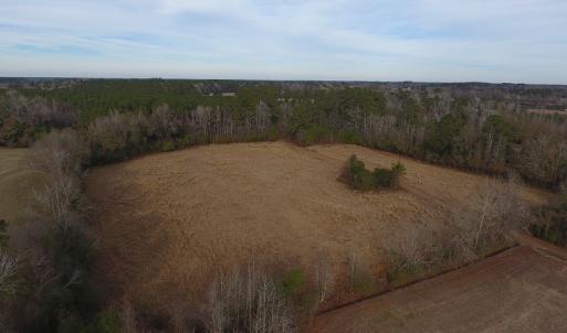 Photo #5 of SOLD property in Off Kemper Church Road, Lake View, SC 10.0 acres