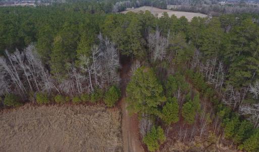 Photo #8 of SOLD property in Off Kemper Church Road, Lake View, SC 10.0 acres