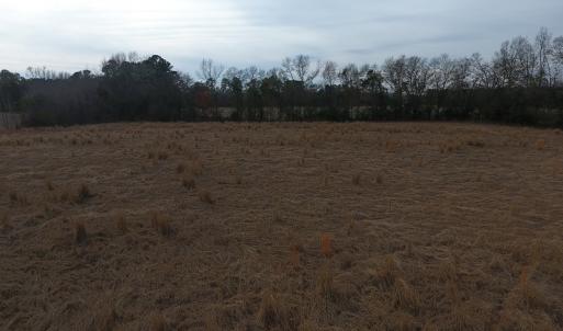 Photo #9 of SOLD property in Off Kemper Church Road, Lake View, SC 10.0 acres