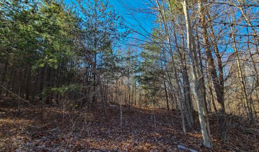 Photo #2 of SOLD property in Off Blue Knob Road, Martinsville, VA 12.5 acres