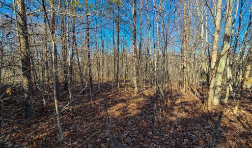 Photo #3 of SOLD property in Off Blue Knob Road, Martinsville, VA 12.5 acres