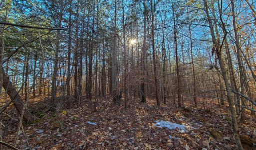 Photo #4 of SOLD property in Off Blue Knob Road, Martinsville, VA 12.5 acres