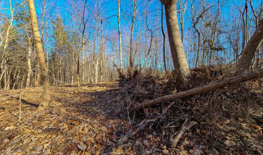 Photo #5 of SOLD property in Off Blue Knob Road, Martinsville, VA 12.5 acres