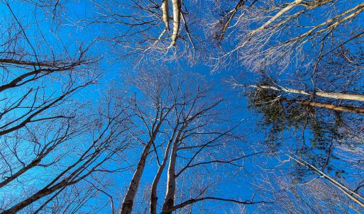 Photo #6 of SOLD property in Off Blue Knob Road, Martinsville, VA 12.5 acres