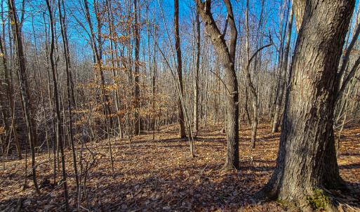 Photo #8 of SOLD property in Off Blue Knob Road, Martinsville, VA 12.5 acres