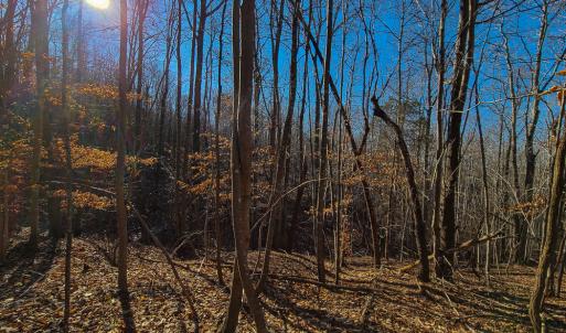 Photo #9 of SOLD property in Off Blue Knob Road, Martinsville, VA 12.5 acres