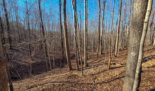 Photo #10 of SOLD property in Off Blue Knob Road, Martinsville, VA 12.5 acres