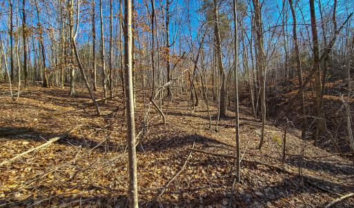 Photo #11 of SOLD property in Off Blue Knob Road, Martinsville, VA 12.5 acres