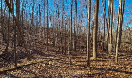 Photo #12 of SOLD property in Off Blue Knob Road, Martinsville, VA 12.5 acres