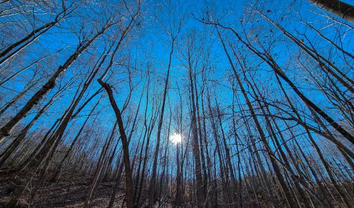 Photo #13 of SOLD property in Off Blue Knob Road, Martinsville, VA 12.5 acres