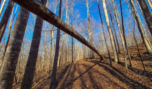 Photo #14 of SOLD property in Off Blue Knob Road, Martinsville, VA 12.5 acres