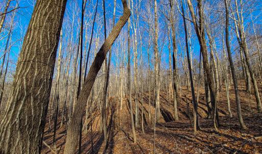 Photo #15 of SOLD property in Off Blue Knob Road, Martinsville, VA 12.5 acres