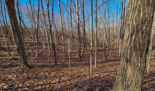 Photo #16 of SOLD property in Off Blue Knob Road, Martinsville, VA 12.5 acres