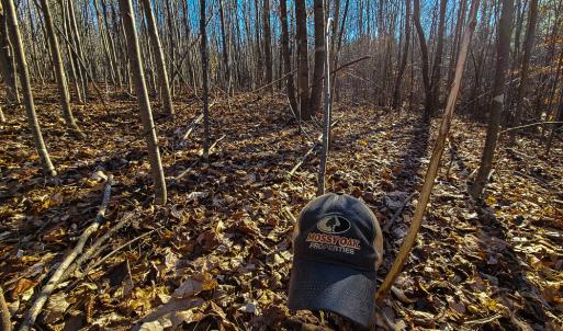 Photo #18 of SOLD property in Off Blue Knob Road, Martinsville, VA 12.5 acres