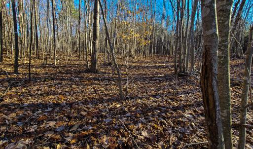 Photo #20 of SOLD property in Off Blue Knob Road, Martinsville, VA 12.5 acres