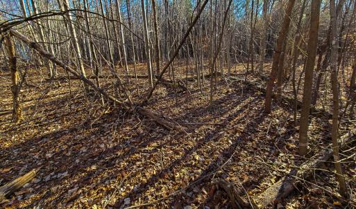 Photo #21 of SOLD property in Off Blue Knob Road, Martinsville, VA 12.5 acres