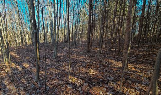 Photo #22 of SOLD property in Off Blue Knob Road, Martinsville, VA 12.5 acres