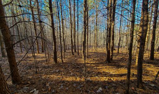 Photo #23 of SOLD property in Off Blue Knob Road, Martinsville, VA 12.5 acres