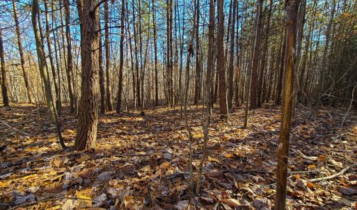 Photo #24 of SOLD property in Off Blue Knob Road, Martinsville, VA 12.5 acres