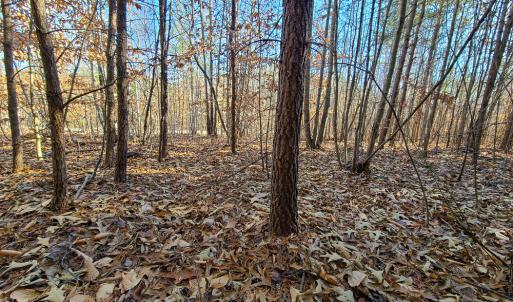 Photo #25 of SOLD property in Off Blue Knob Road, Martinsville, VA 12.5 acres