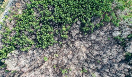 Photo #36 of SOLD property in Off Blue Knob Road, Martinsville, VA 12.5 acres