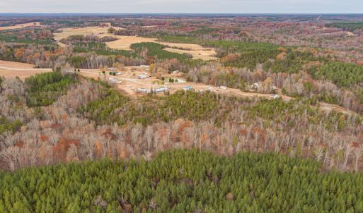 Photo #9 of SOLD property in Off McGees Mill Road, Semora, NC 21.2 acres