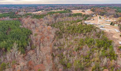 Photo #10 of SOLD property in Off McGees Mill Road, Semora, NC 21.2 acres