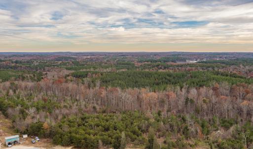 Photo #11 of SOLD property in Off McGees Mill Road, Semora, NC 21.2 acres