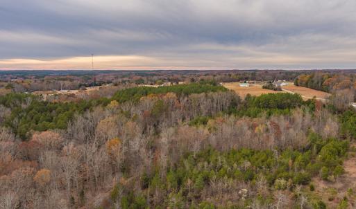 Photo #12 of SOLD property in Off McGees Mill Road, Semora, NC 21.2 acres