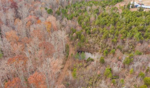 Photo #13 of SOLD property in Off McGees Mill Road, Semora, NC 21.2 acres