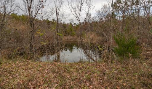Photo #14 of SOLD property in Off McGees Mill Road, Semora, NC 21.2 acres