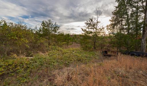 Photo #15 of SOLD property in Off McGees Mill Road, Semora, NC 21.2 acres