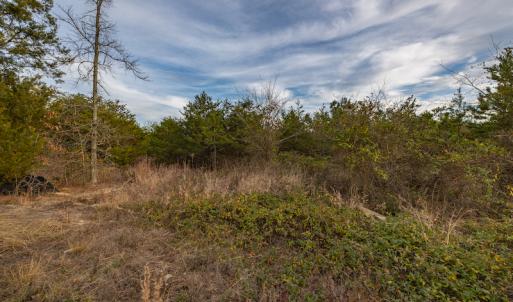 Photo #16 of SOLD property in Off McGees Mill Road, Semora, NC 21.2 acres