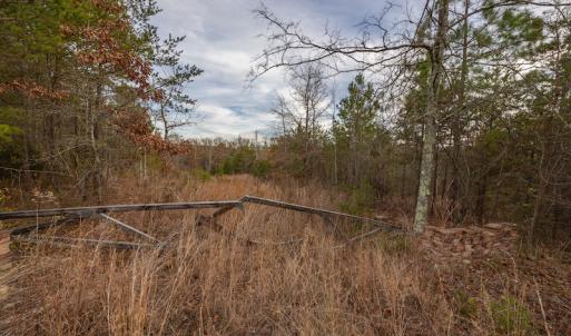 Photo #17 of SOLD property in Off McGees Mill Road, Semora, NC 21.2 acres